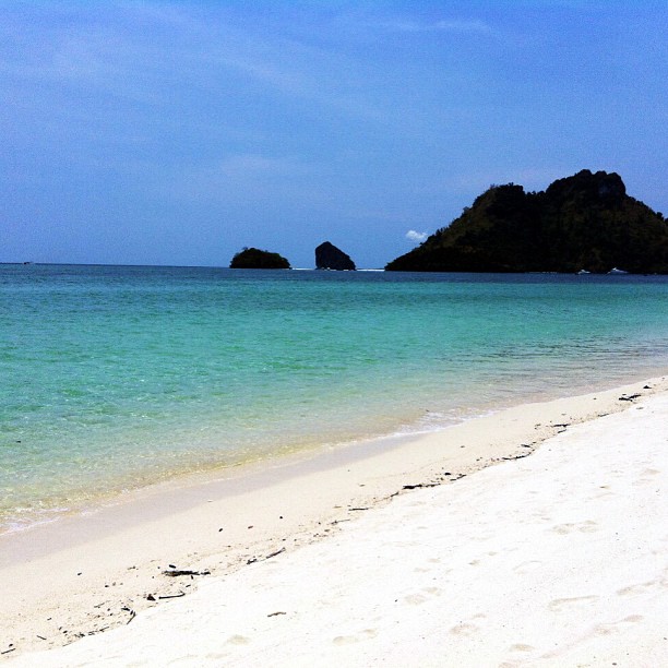 543999_10151525018768656_163878639_n