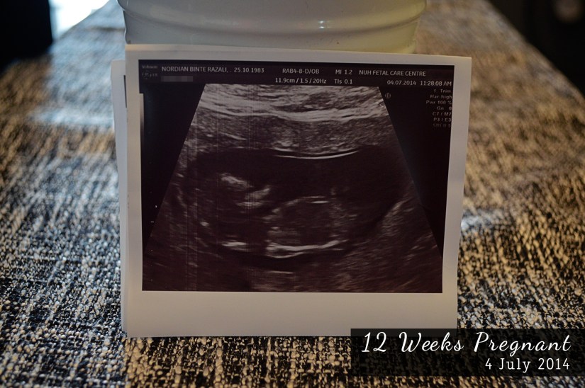 12 Weeks